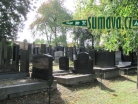 židovský hřbitov Plzeň