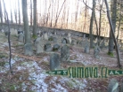 židovský hřbitov Strážov na Šumavě
