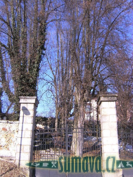 židovský hřbitov Sušice (nový)