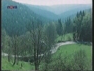Jak ukrást Dagmaru - Srní