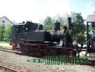 jízdy parního vlaku, Localbahnmuseum 2012