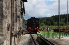 jízdy parního vlaku, Localbahnmuseum 2014