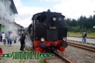 jízdy parního vlaku, Localbahnmuseum 2014