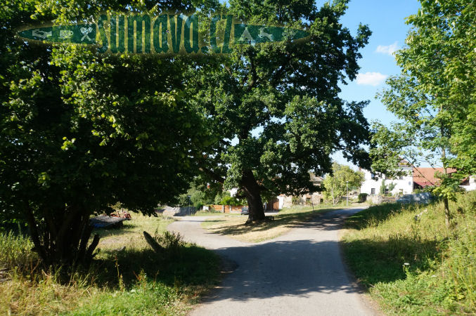 Kaliště
