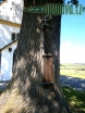 kaple Stachesried (D)