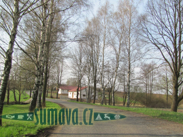 Křenice