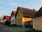 Křenice