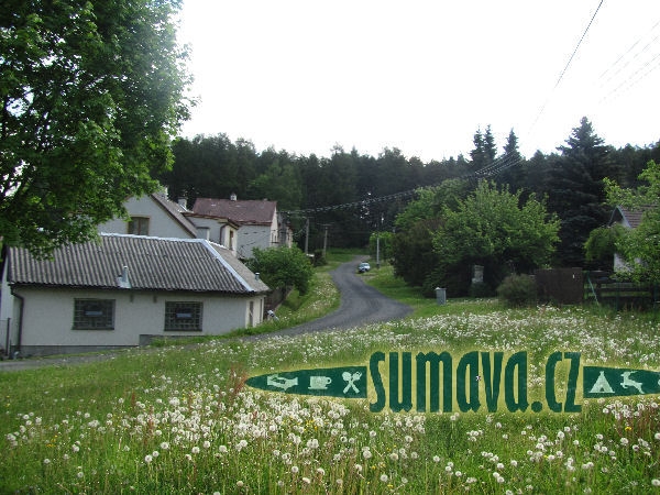 Kozí
