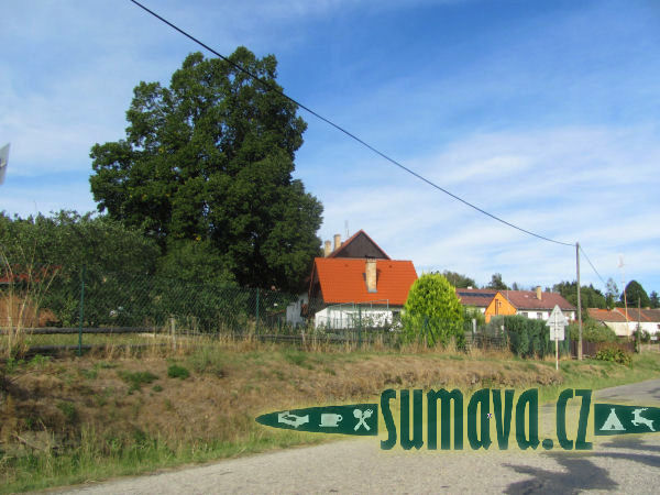 Ktiš