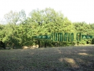Lhotovský rybník, Čichtice