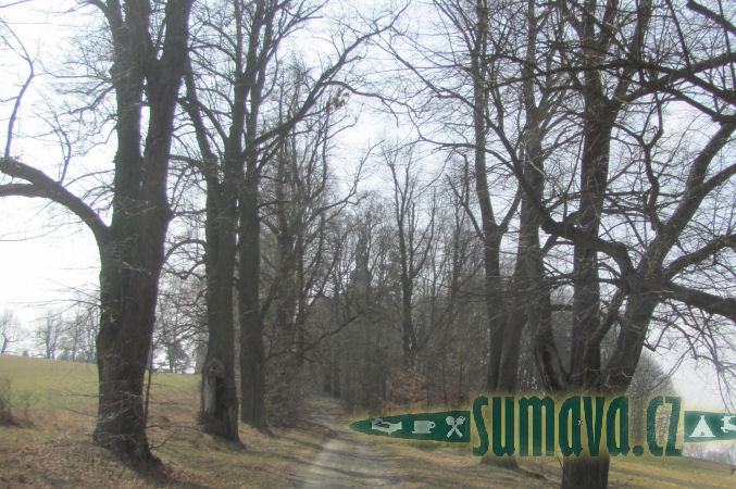 lipová alej ke sv. Anně, Horšovský Týn