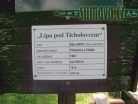 lípa pod Ticholovcem