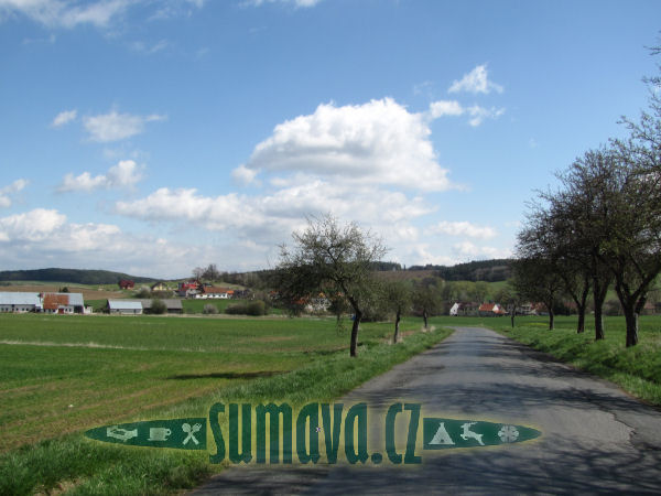 Luženice