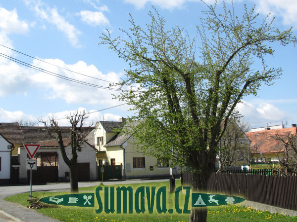 Luženice