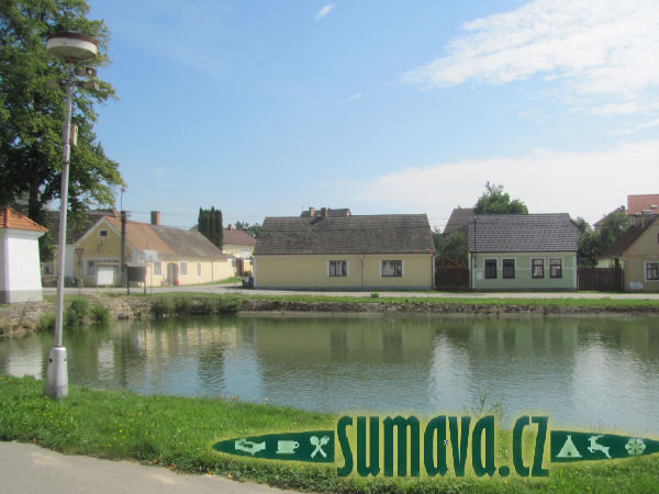 Lutová