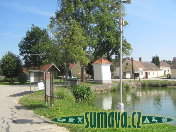 Lutová