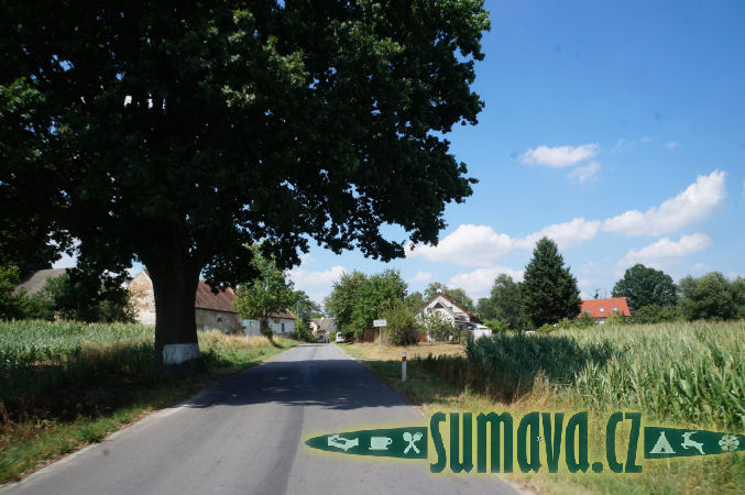 Matná