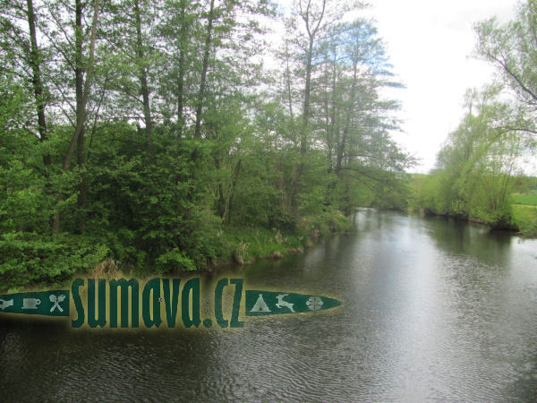Mže