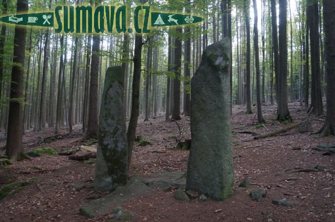 Menhir Dva bratři, Javorník