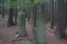 Menhir Dva bratři, Javorník