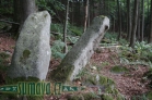 menhiry Manželé / Dvojčata, Javorník