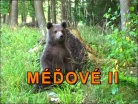 Méďové II - Šumavské klouzání