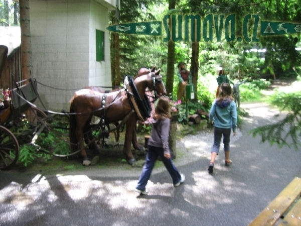 pohádkový les Märchenwald 2008