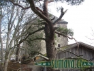 muzeum Žrací dům Weißenstein (D)
