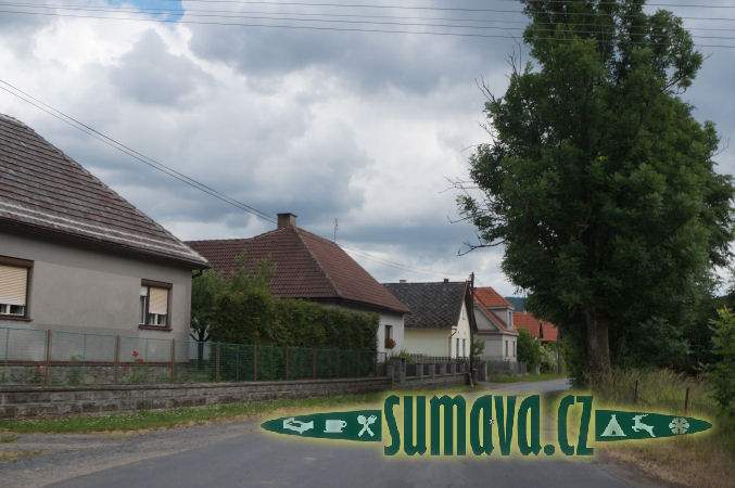 Neurazy