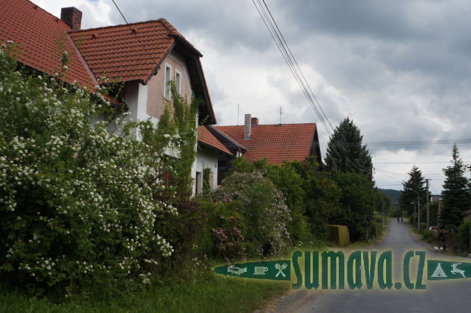 Neurazy