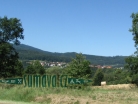 Nová Koruna