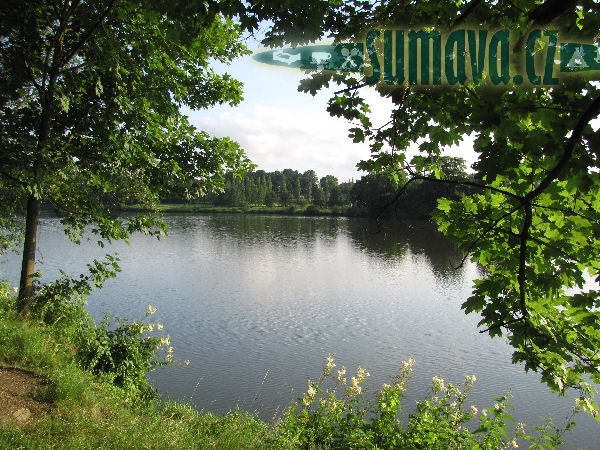 Novodvorský rybník