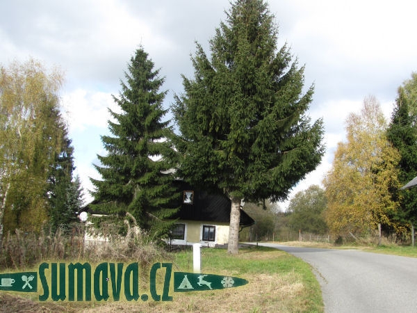 Nový Svět