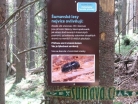 NS prameny Vltavy