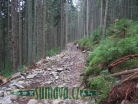 zřícenina Obří hrad