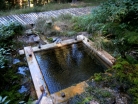 Oslí studánka