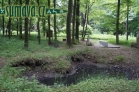 památník Nakloněný obelisk, Dubeč