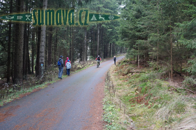 Pancířské stráně 2014