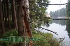 přečerpávací elektrárna Černé jezero
