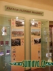 pivovarské muzeum, Plzeň