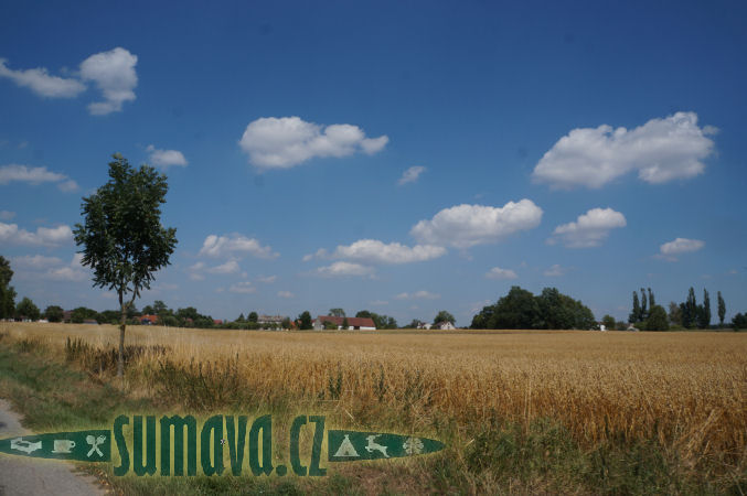 Plavsko