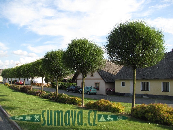 Pocinovice