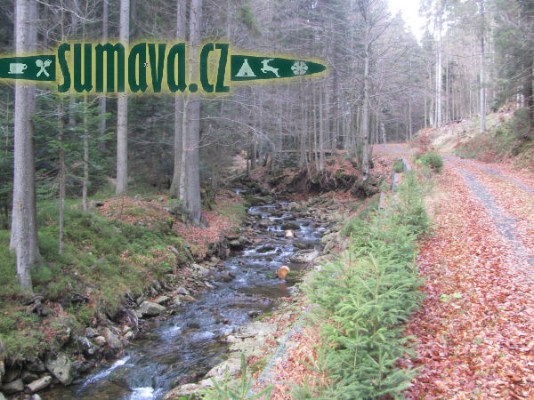 potok Svarožná