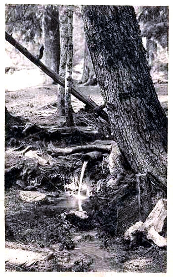 pramen Vltavy (historické)