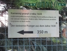 pranýř, Kašperské Hory