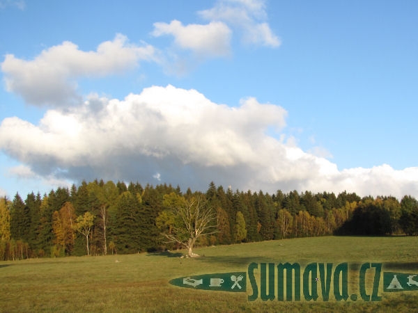 Přední Zvonková