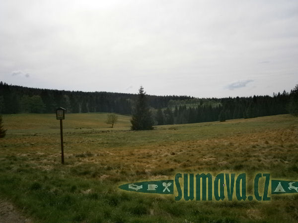 přírodní rezervace Městišské rokle