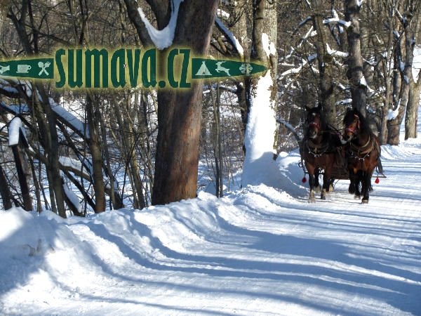 projíždka kočárem, na saních, Železná Ruda