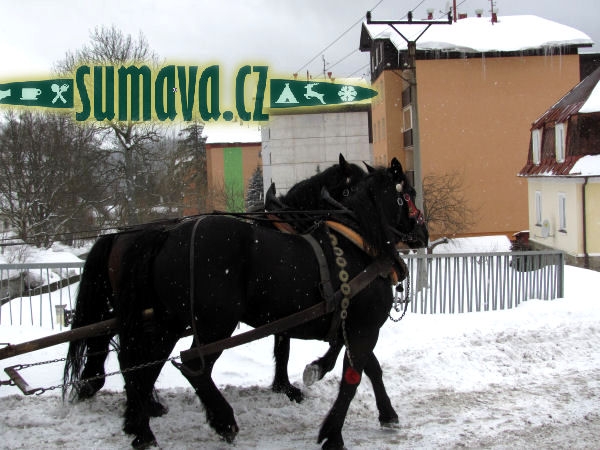 projíždka kočárem, na saních, Železná Ruda