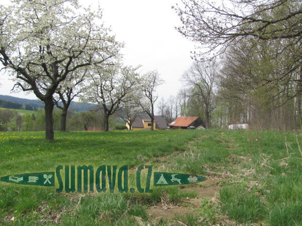 Radostice u Hlavňovic